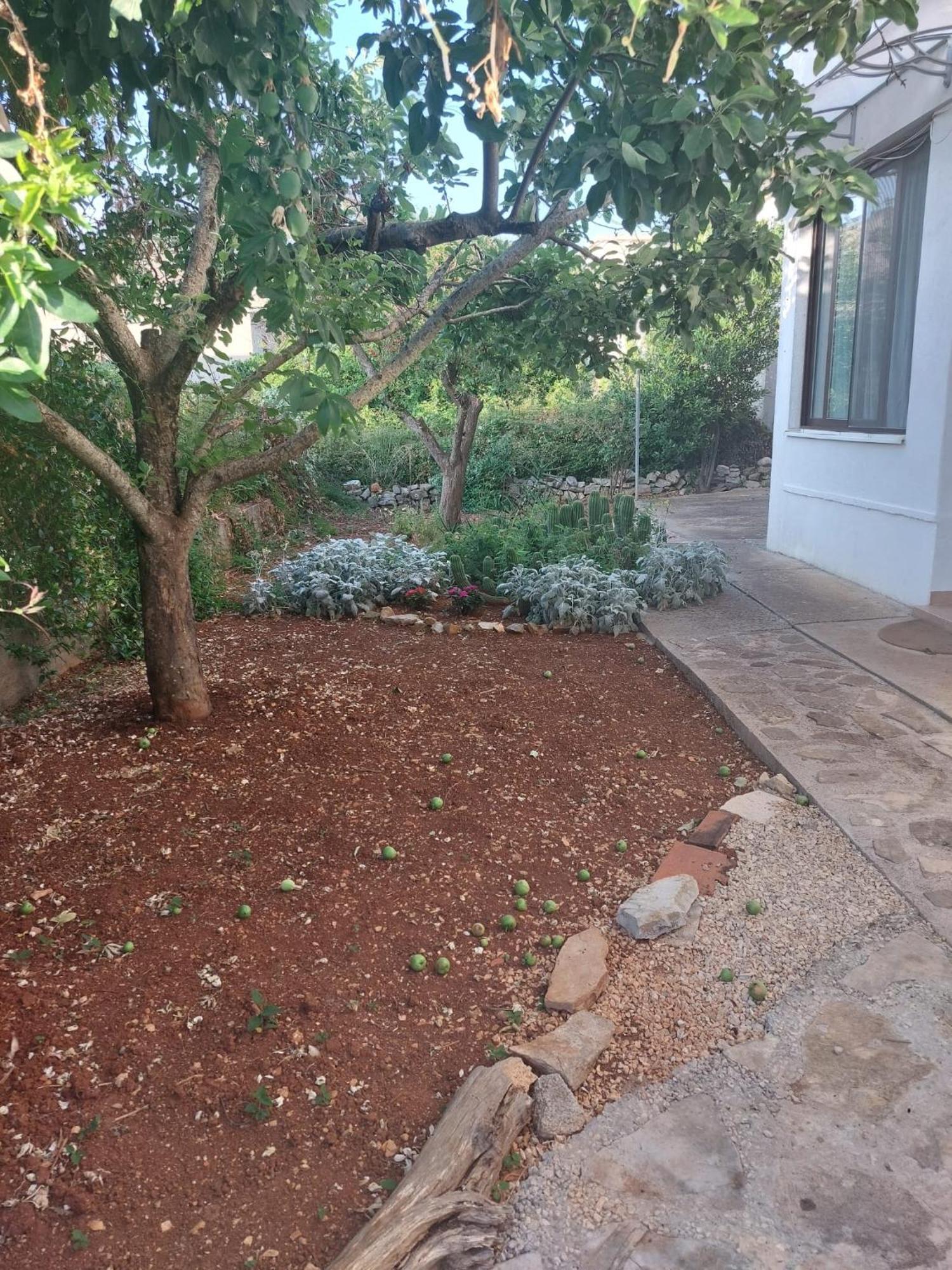 Apartment Bozava - Nena Εξωτερικό φωτογραφία